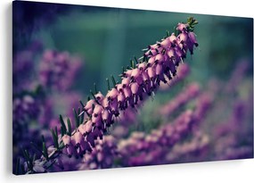 Tablou cu floare violetă (90x60 cm)