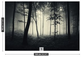 Fototapet Misty Forest