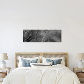 Tablou - Iarbă de pampas uscată (cu ceas) (90x30 cm)