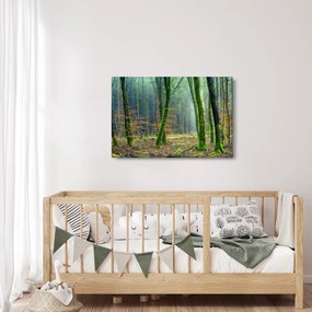 Tablou cu pădure (90x60 cm)
