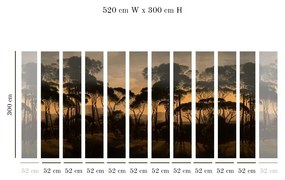 Tapet VLAdiLA Umbrella Pines Dusk  520 x 300 cm