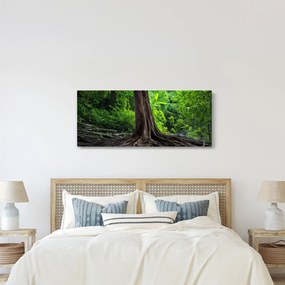 Tablou - Copac bătrîn cu rădăcini (120x50 cm)