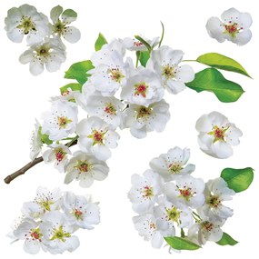 Decorațiune autocolantă Apple blossom, 30 x 30 cm