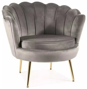 Fotoliu Ionia Velvet, gri