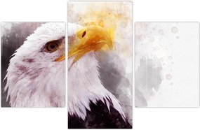 Tablou - Vultur (90x60 cm)