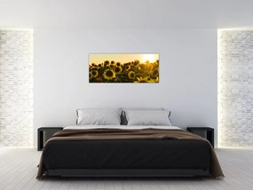 Tablou cu lan de floarea soarelui (120x50 cm)