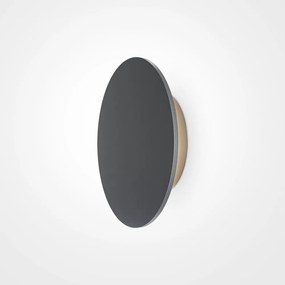 Aplica de perete exterior cu iluminat arhitectural IP65 LED Wald 18cm