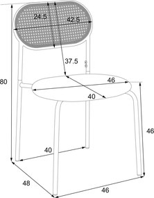 Set de 2 scaune de dining moderne din ratan cu cadru metalic, 56x52x27 cm, Maro