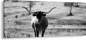 Tablou - Vacă,alb-negru (120x50 cm)