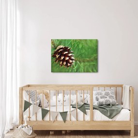 Tablou cu con (70x50 cm)