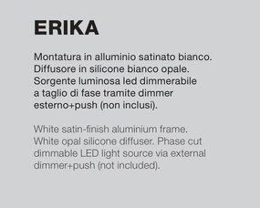 Lustra LED circulara diametru 80cm ERIKA