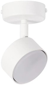 Spot NEMO 1xGX53/12W/230V alb