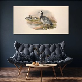 Tablou canvas Păsări Animale Bej