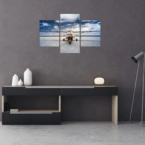 Tablou cu aeroplan cu motor (90x60 cm)