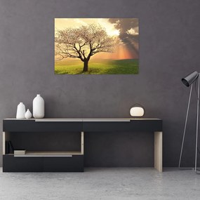 Tablou cu copac pe luncă (90x60 cm)