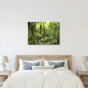 Tablou - Pădure tropicală (70x50 cm)