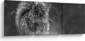 Tablou - Veveriță în timpul iernii (cu ceas) (90x30 cm)