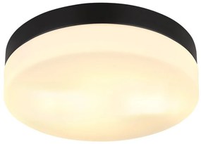 Plafoniera pentru exterior design modern IP44 Vranos negru, opal 24cm
