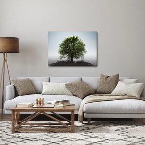 Tablou - Copacul singuratic (70x50 cm)