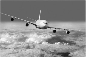 Tablou - Avion în nori, alb și negru (90x60 cm)