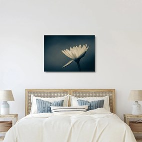 Tablou pe sticlă cu flori (70x50 cm)