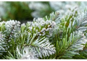 Coronă de Crăciun, diametru 54 cm