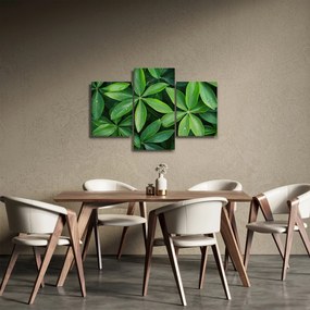 Tablou - Frunze cu picături de rouă (90x60 cm)