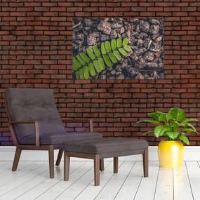 Tablou cu planta verde (90x60 cm)