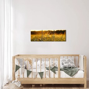Tablou iarba cu rouă (cu ceas) (90x30 cm)