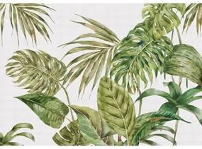 XXL Fern foto tapet 360 x 254 cm, 4 părți