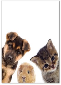 Imagine de sticlă Animale de companie