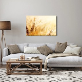 Tablou- detaliu cu (90x60 cm)