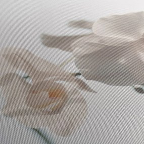 Tablou cu orhidee albă (90x60 cm)