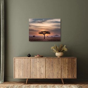 Tablou pe sticlă apusului de soare în Tanzania (70x50 cm)