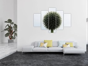 Tablou - Sfere de flori (150x105 cm)