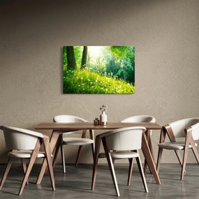 Tablou - Pajiște magică plină de păpădii (90x60 cm)