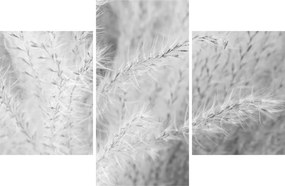 Tablou - Iarbă de pampas N⁰1 (90x60 cm)
