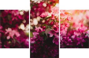 Tablou cu florile tufișului înflorit (90x60 cm)
