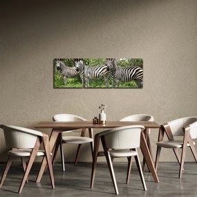 Tablou cu zebre (cu ceas) (90x30 cm)