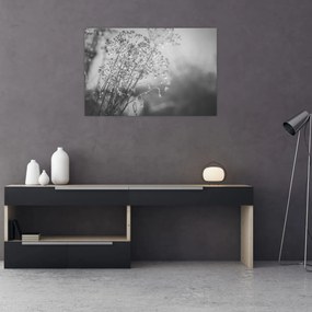 Tablou - Pajiște după ploaie (90x60 cm)
