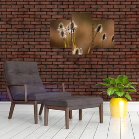 Tablou - Iarbă (90x60 cm)