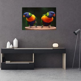Tablou cu papagali (90x60 cm)