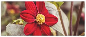 Tablou cu floare (120x50 cm)