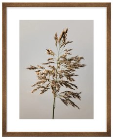 Poster 40x50 cm Meadow