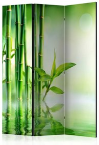Paravan - Green Bamboo [Room Dividers]