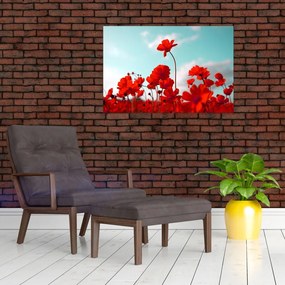 Tablou - Câmp cu flori roșu deschis (90x60 cm)