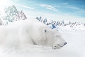 Tablou - Urs polar (90x60 cm)