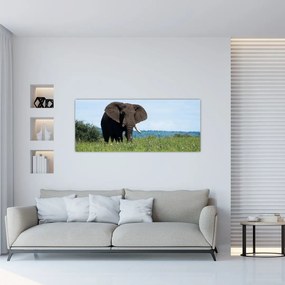 Tablou cu elefant (120x50 cm), în 40 de alte dimensiuni noi