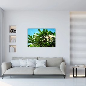 Tablou - Plumeria (90x60 cm)