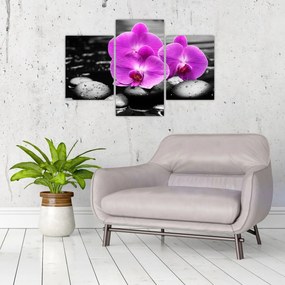 Tablou - Orhidee violet (90x60 cm)